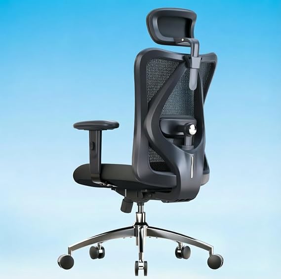 SIHOO M18 Ergonomic Office Chair, Adjustable Headrest & Lumbar Support, High Back Mesh Desk Chair, Height Adjustable Armrests, Swivel Computer Chair for Home Office, Deep Black